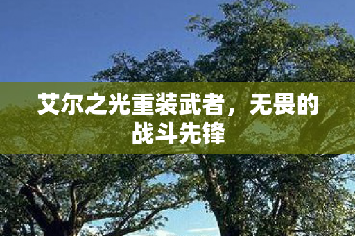 艾尔之光重装武者图片