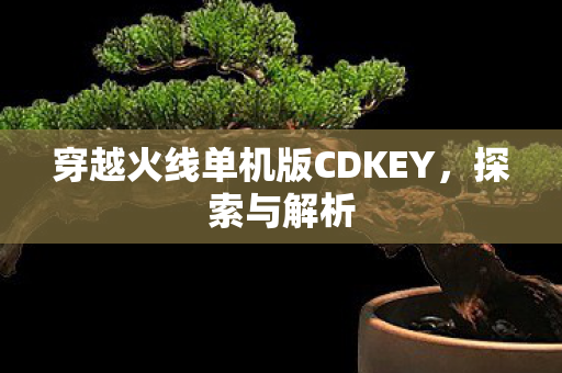 穿越火线单机版CDKEY图片
