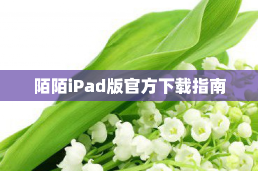 陌陌iPad版官方下载指南图片