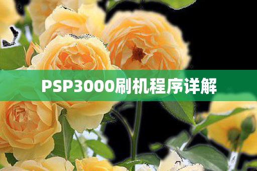 PSP3000刷机程序详解图片