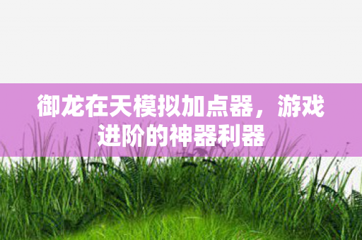 御龙在天模拟加点器图片