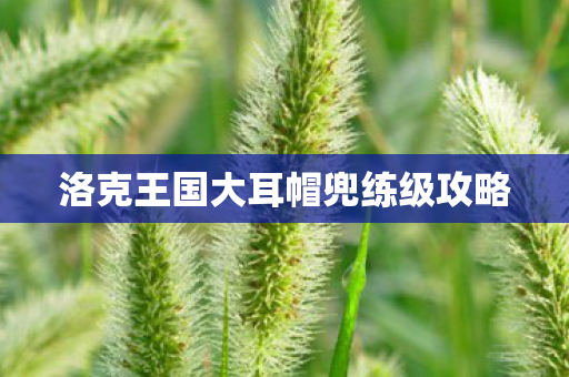 洛克王国大耳帽兜练级攻略图片