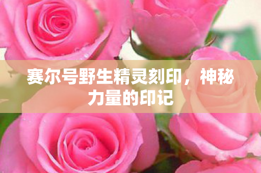 赛尔号野生精灵刻印图片