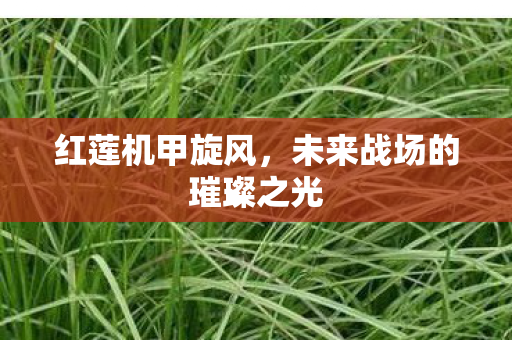 未来战场的璀璨之光图片