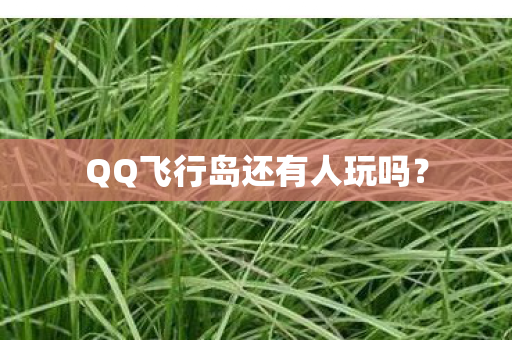 QQ飞行岛还有人玩吗图片