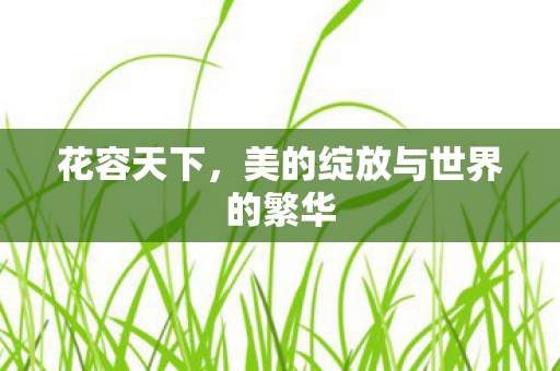 美的绽放与世界的繁华图片