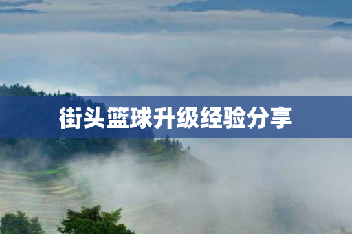 街头篮球升级经验分享图片