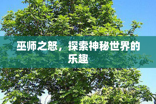 探索神秘世界的乐趣图片