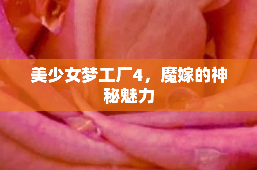 美少女梦工厂4图片