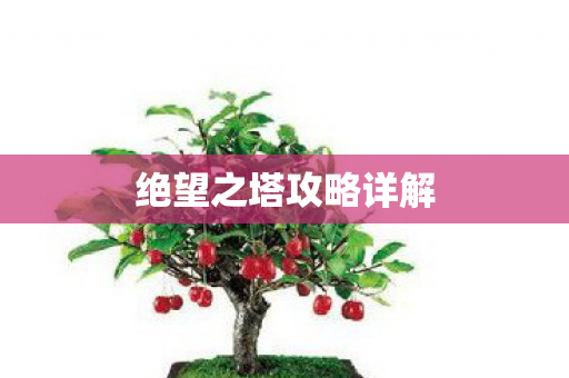 绝望之塔攻略详解图片