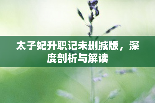 太子妃升职记未删减版图片