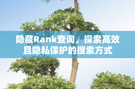 探索高效且隐私保护的搜索方式图片
