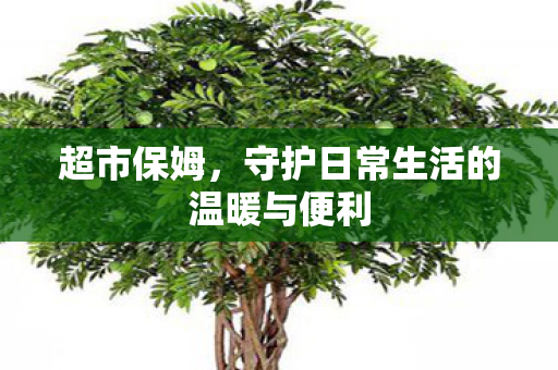 守护日常生活的温暖与便利图片