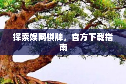 探索娱网棋牌图片