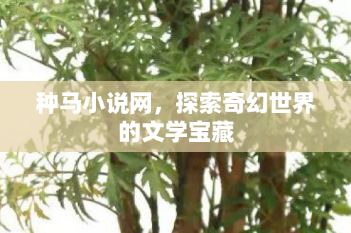 探索奇幻世界的文学宝藏图片