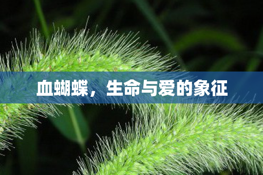 生命与爱的象征图片