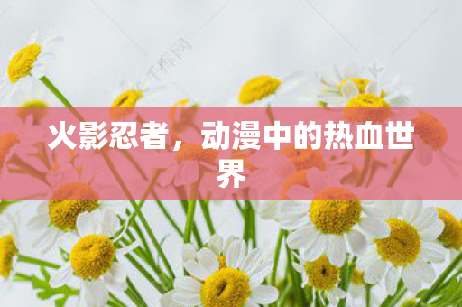 动漫中的热血世界图片