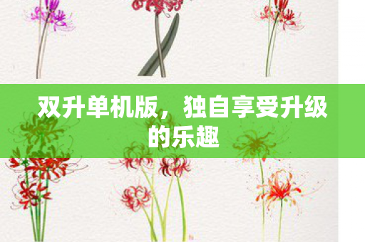独自享受升级的乐趣图片