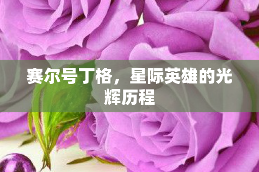 星际英雄的光辉历程图片