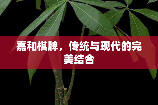 传统与现代的完美结合图片