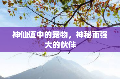 神秘而强大的伙伴图片
