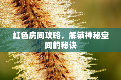 解锁神秘空间的秘诀图片