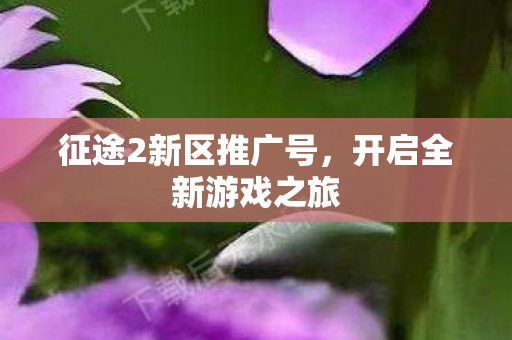 征途2新区推广号图片