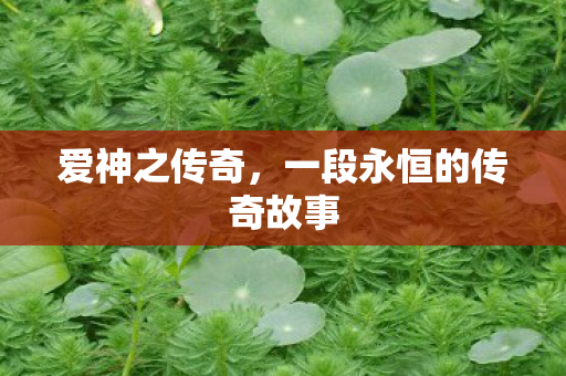 一段永恒的传奇故事图片