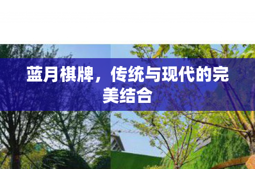 传统与现代的完美结合图片