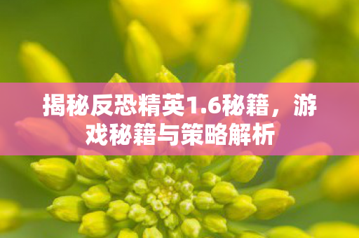 游戏秘籍与策略解析图片