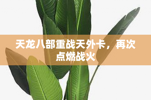 天龙八部重战天外卡图片