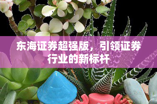 引领证券行业的新标杆图片