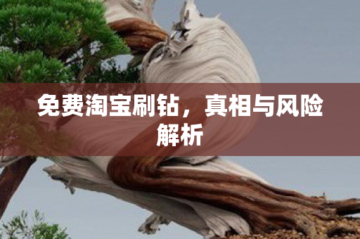 真相与风险解析图片