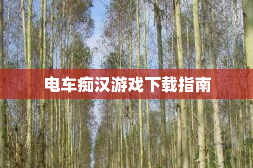 电车痴汉游戏下载指南图片