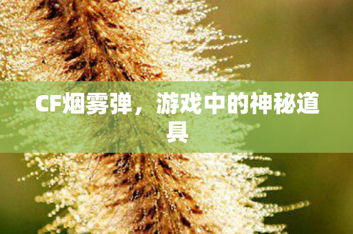 游戏中的神秘道具图片