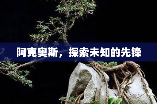 探索未知的先锋图片