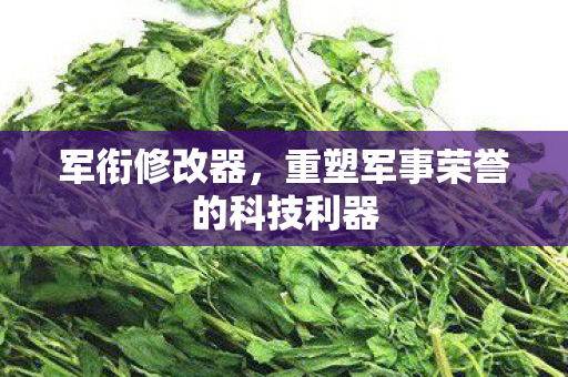 重塑军事荣誉的科技利器图片