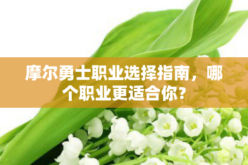 摩尔勇士职业选择指南图片