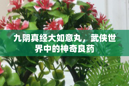 武侠世界中的神奇良药图片