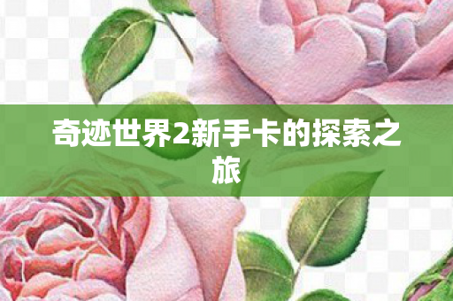 奇迹世界2新手卡的探索之旅图片