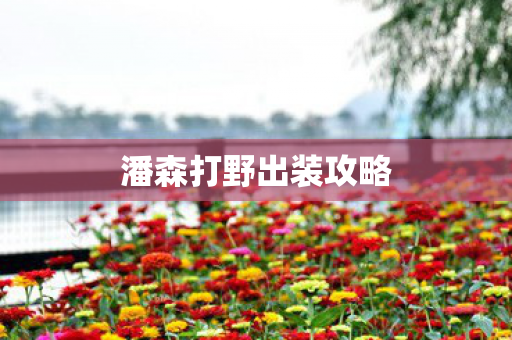 潘森打野出装攻略图片
