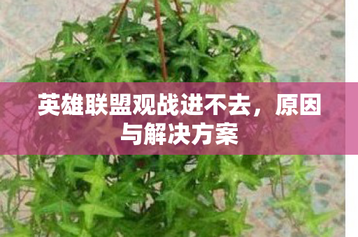 英雄联盟观战进不去图片