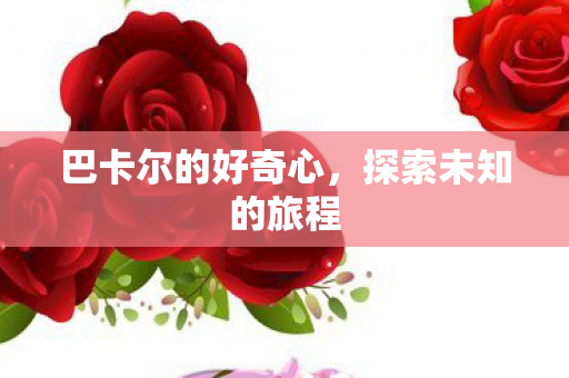 巴卡尔的好奇心图片
