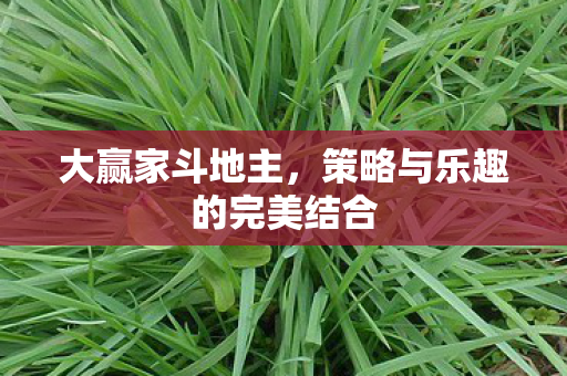 策略与乐趣的完美结合图片