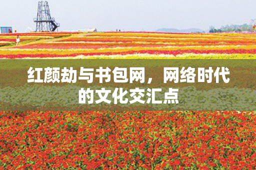 网络时代的文化交汇点图片
