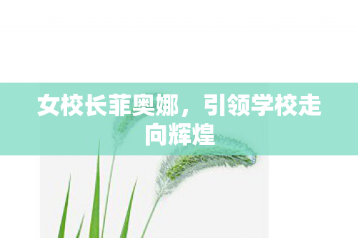 引领学校走向辉煌图片