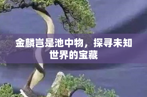 探寻未知世界的宝藏图片