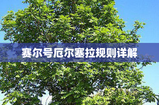 赛尔号厄尔塞拉规则详解图片