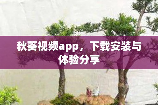 下载安装与体验分享图片