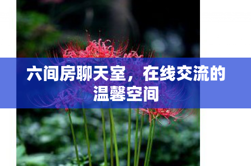 六间房聊天室,在线交流的温馨空间 六间房聊天室,在线交流的温馨空间